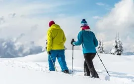Winter-Holiday Winter-Holiday